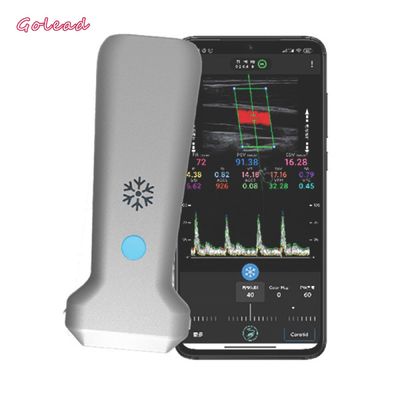 comprar varredor convexo do ultrassom da ponta de prova de 126mm para o nervo vascular de MSK online manufacture