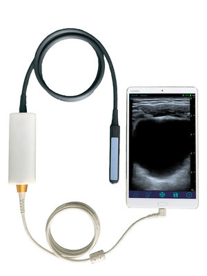 comprar Scanner de ultrassom veterinário portátil com sonda retal linear para reprodução bovina e equina online manufacture
