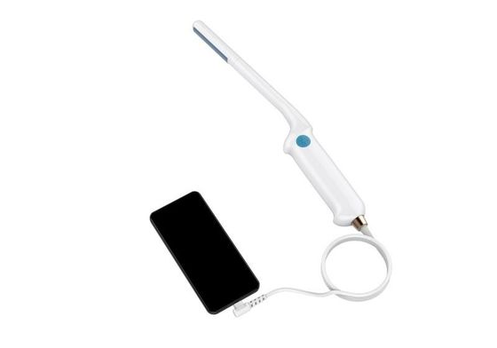 comprar Elemento universal da máquina 80 do ultrassom do veterinário da ponta de prova de Endocavitary online manufacture