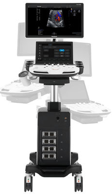 comprar elite de Sonoscape Echo Machine P11 do trole 5D com os 4 conectores do transdutor online manufacture