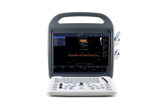 comprar Sistema portátil de ultrassom Doppler colorido DCU10 com tela HD de 15 polegadas para obstetrícia/ginecologia, abdômen e imagens cardíacas online manufacture