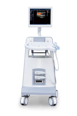 comprar Instrumento diagnóstico ultrassônico 500GB do ultrassom de Doppler da cor do trole do nível básico online manufacture