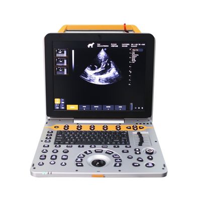 comprar 15 polegadas P60V Sistema portátil de ultrassom Doppler de cor veterinária para clínicas de animais pequenos online manufacture