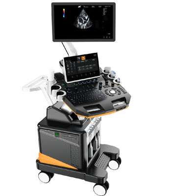 comprar Máquina veterinária de ultrassom Doppler colorido 3D / 4D Sistema profissional de imagem para animais pequenos com LCD de 21,5 '' online manufacture