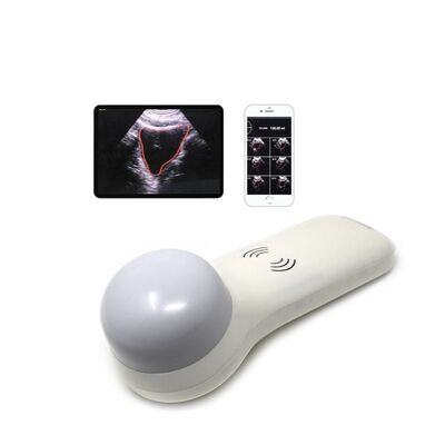 comprar Scanner de bexiga portátil 4D sem fio para medição de volume urinário no local de atendimento online manufacture